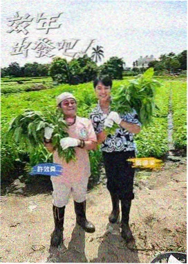 开麦吧深夜 免费看片资源